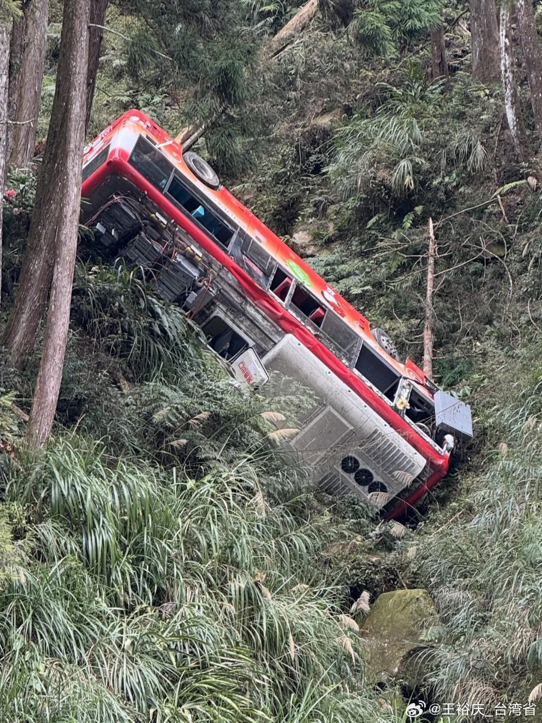 中国台湾省 快訊/杉林溪「巴士墜13層樓深谷」6傷1命危「傳3人被拋出車外」！現