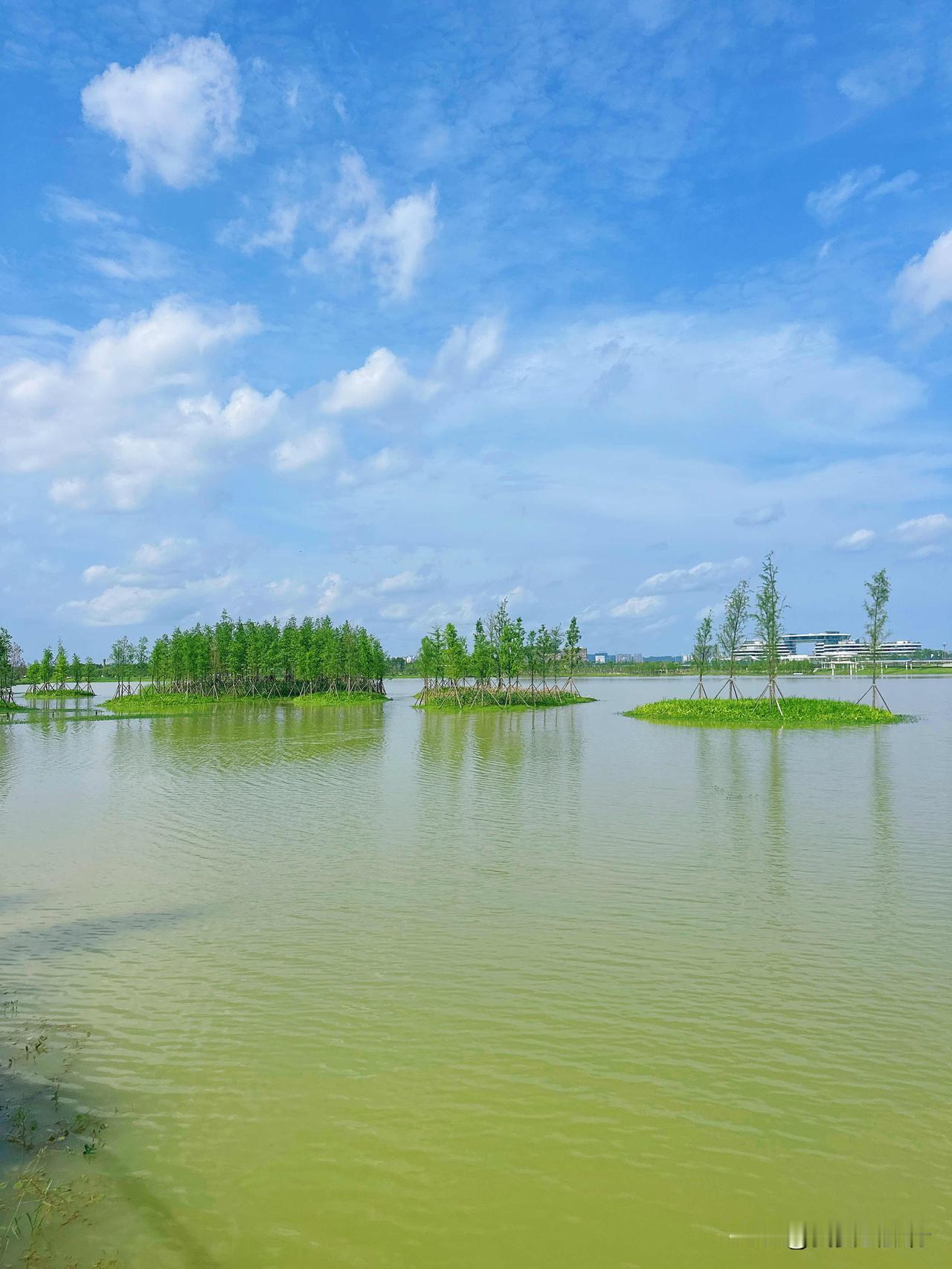 长沙大泽湖湿地公园，城市里的绿野仙踪🌳
这里的自然风光简直绝绝子！🌊2841