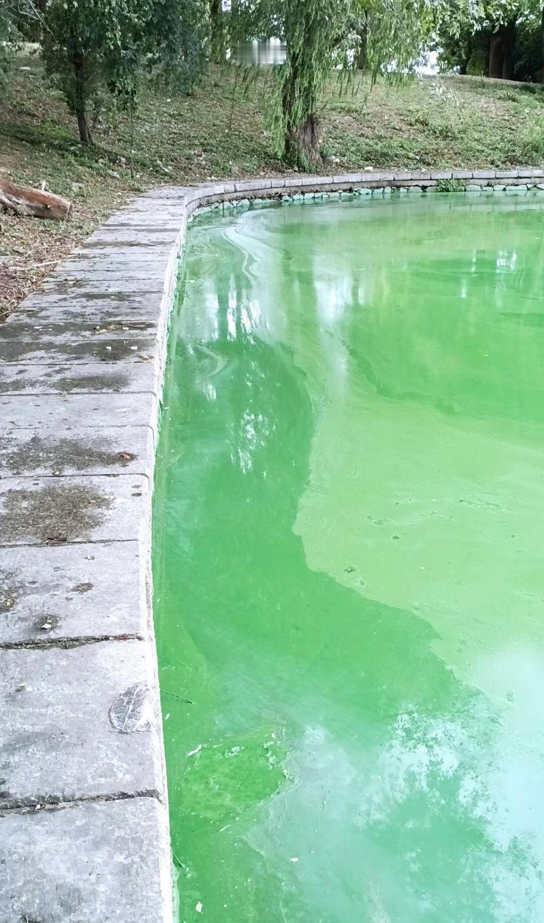 日出江边热似火，秋来湖水绿如蓝，安庆赛江南。 ​​​