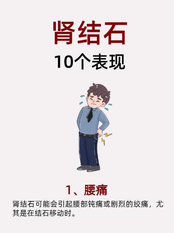 肾结石十种常见表现，早发现早调理