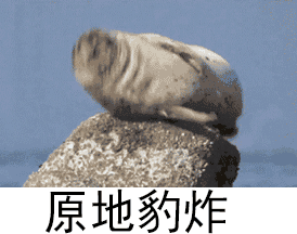 表情包[超话]原地豹炸了…… ​​​