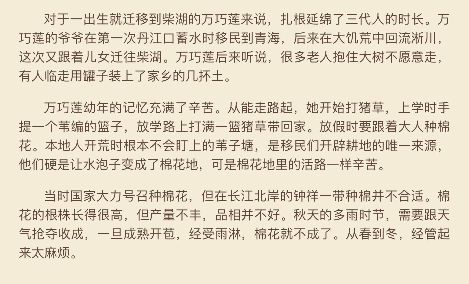 钟祥柴湖移民村（《汉水的身世》） ​​​
