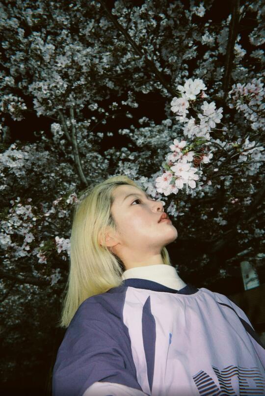 抓住樱花的最后尾巴🌸