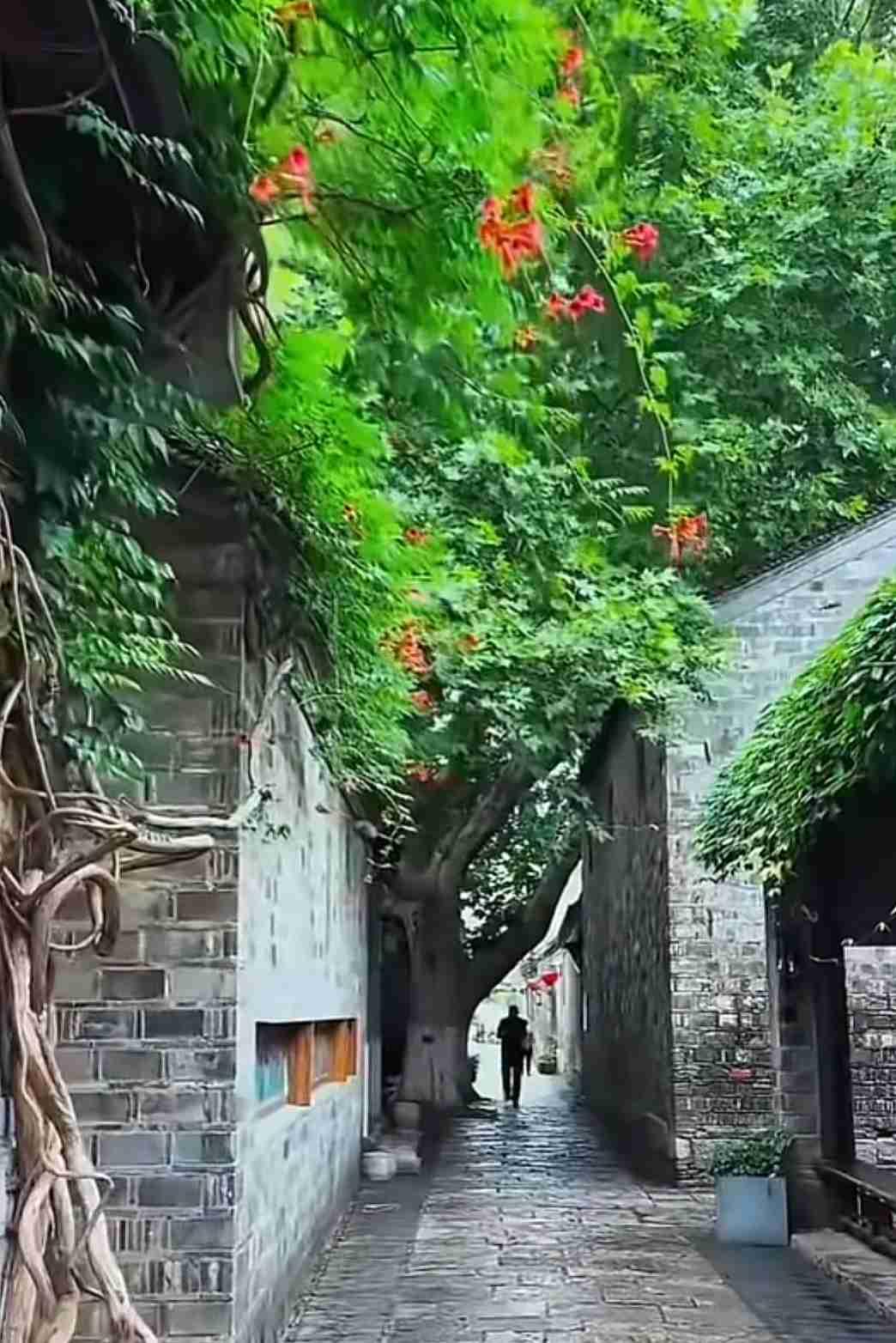 我们终其一生能留下什么？

其实是什么都留不下。路过厂区三叉路口的时候，发现小卖