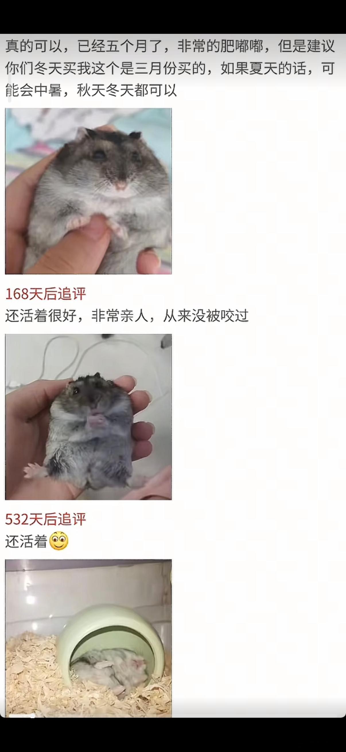 “它这一生 太短暂了” 看完真的泪目…评论区的8块钱的鼠鼠，度过了幸福的一生