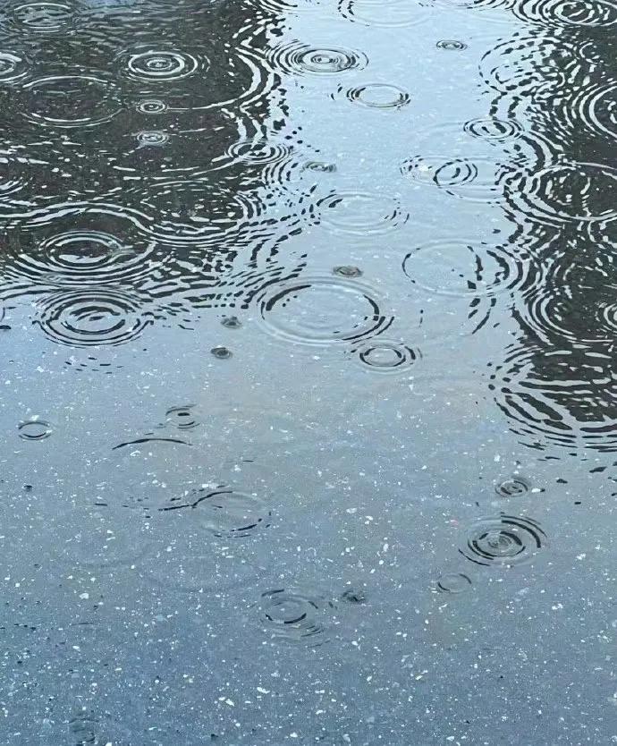 生活有生活的平淡, 雨天有雨天的诗意，有书读书, 有雨赏雨, 日子总是藏着小确幸