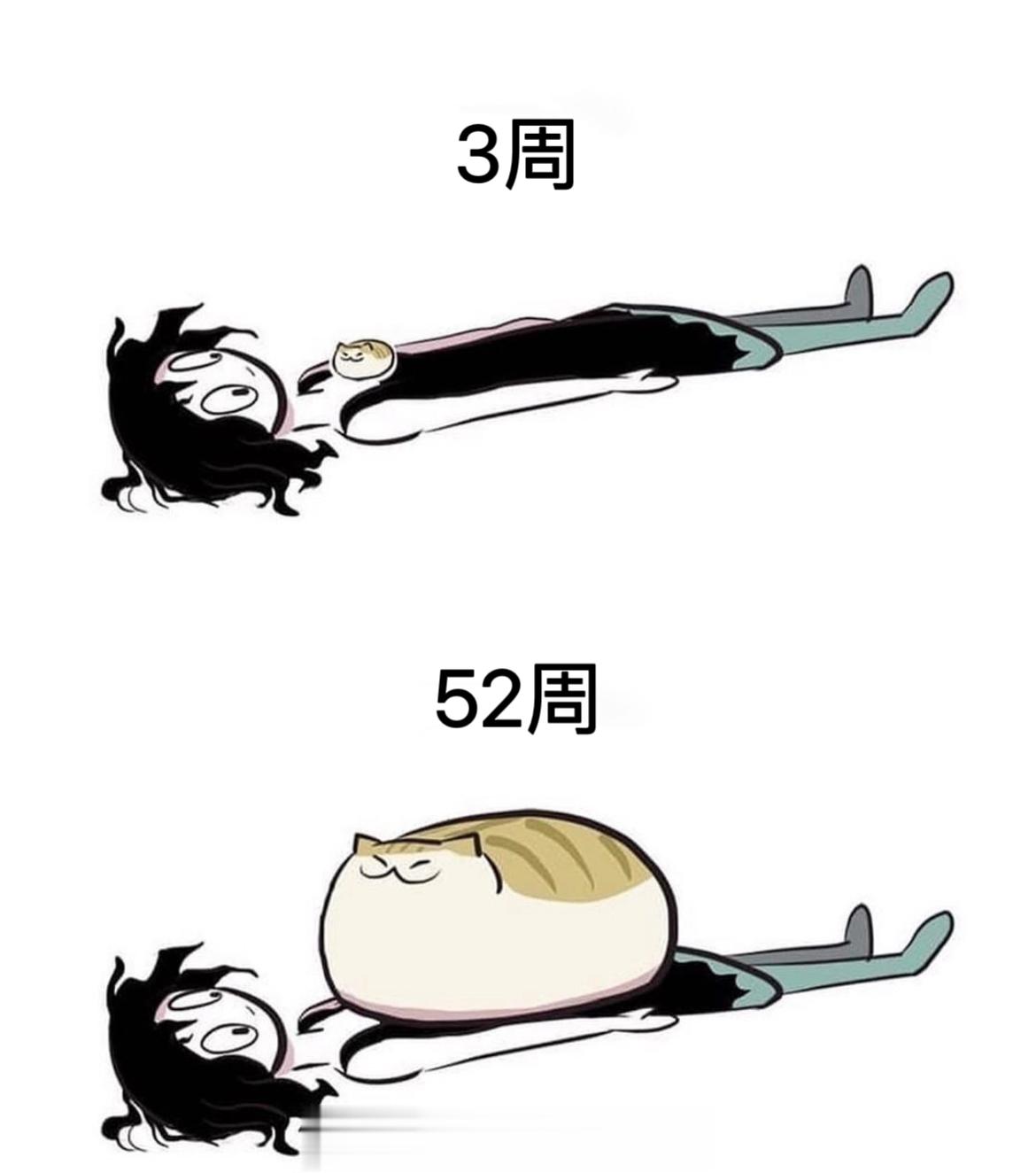 分享图片 ​​​