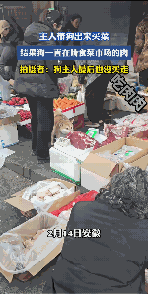 牵狗的他，买没买很重要；卖肉的人，你卖没卖给别人更重要。
最后，很多人也想知道这