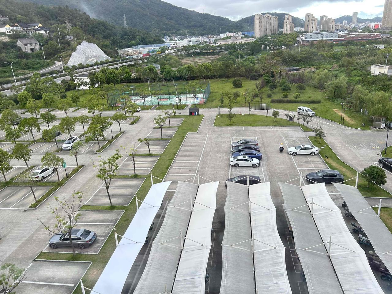 手机弹窗一闪，上回那幕立刻浮上来——树枝砸在车顶那声闷响，像砸在我心上；边上的广