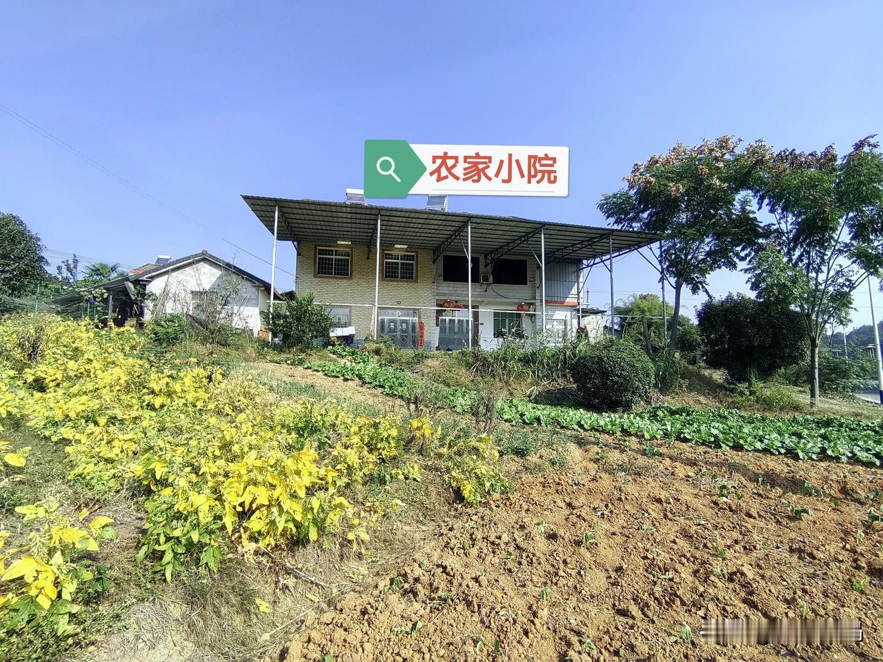我想在宜昌夷陵区鸦鹊岭镇，有一个这样的农家小院，门口院子有500多平米，房子是连
