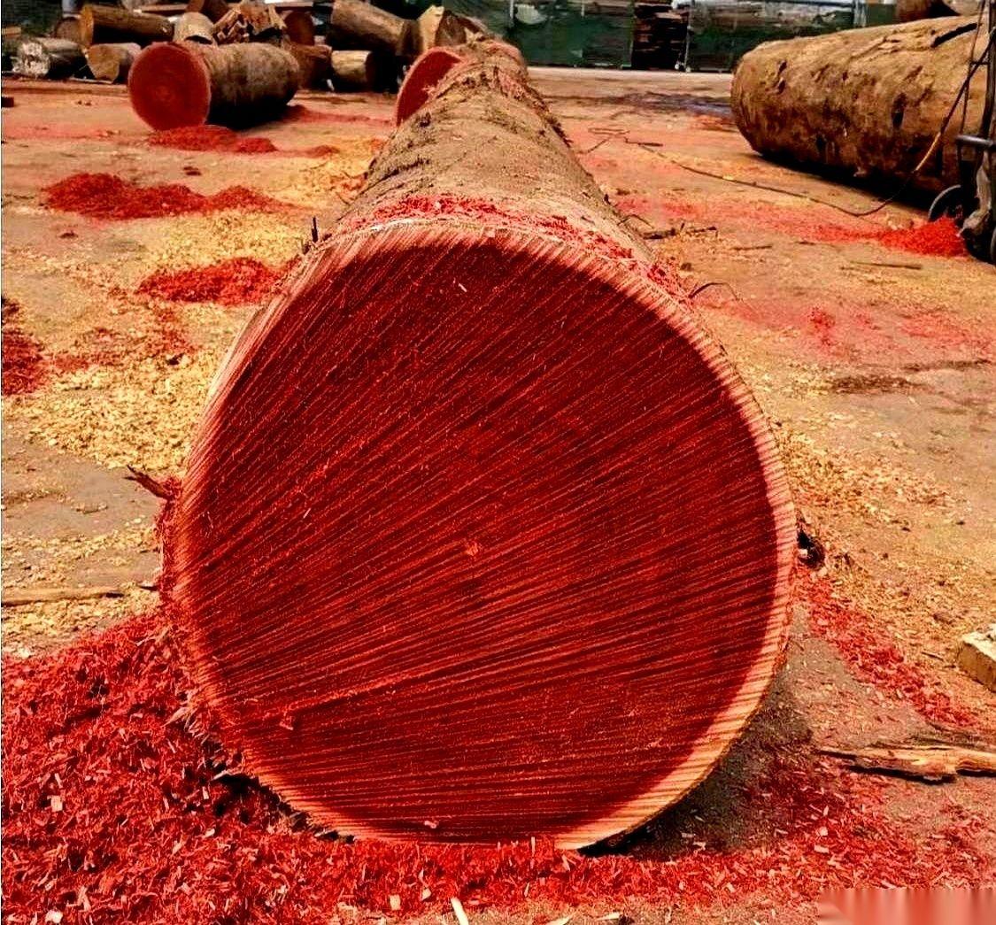 领导拍着你肩膀，喊你‘兄弟’的那一刻，你最好立马清醒点。
真的，别晕。
那一声“