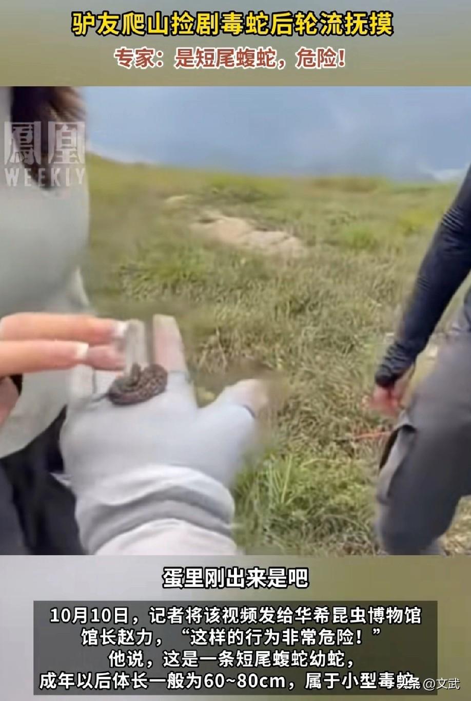 胆子真大啊！驴友轮流抚摸剧毒蛇，专家：无知比毒蛇更可怕‌

近日，一段驴友捡到幼
