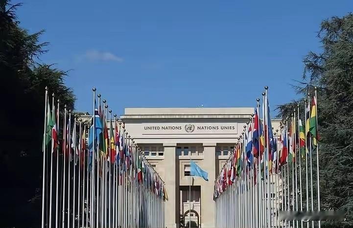 联合国发不出工资了！秘书长古特雷斯紧急发声：再收不到会费就裁员2000人！
真实