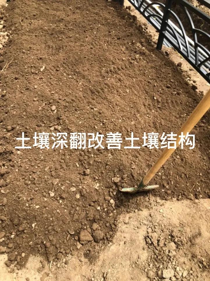 土壤深翻熟化有什么好处?土壤深翻熟化有诸多好处。一是能改善土壤结构，使土壤疏松，