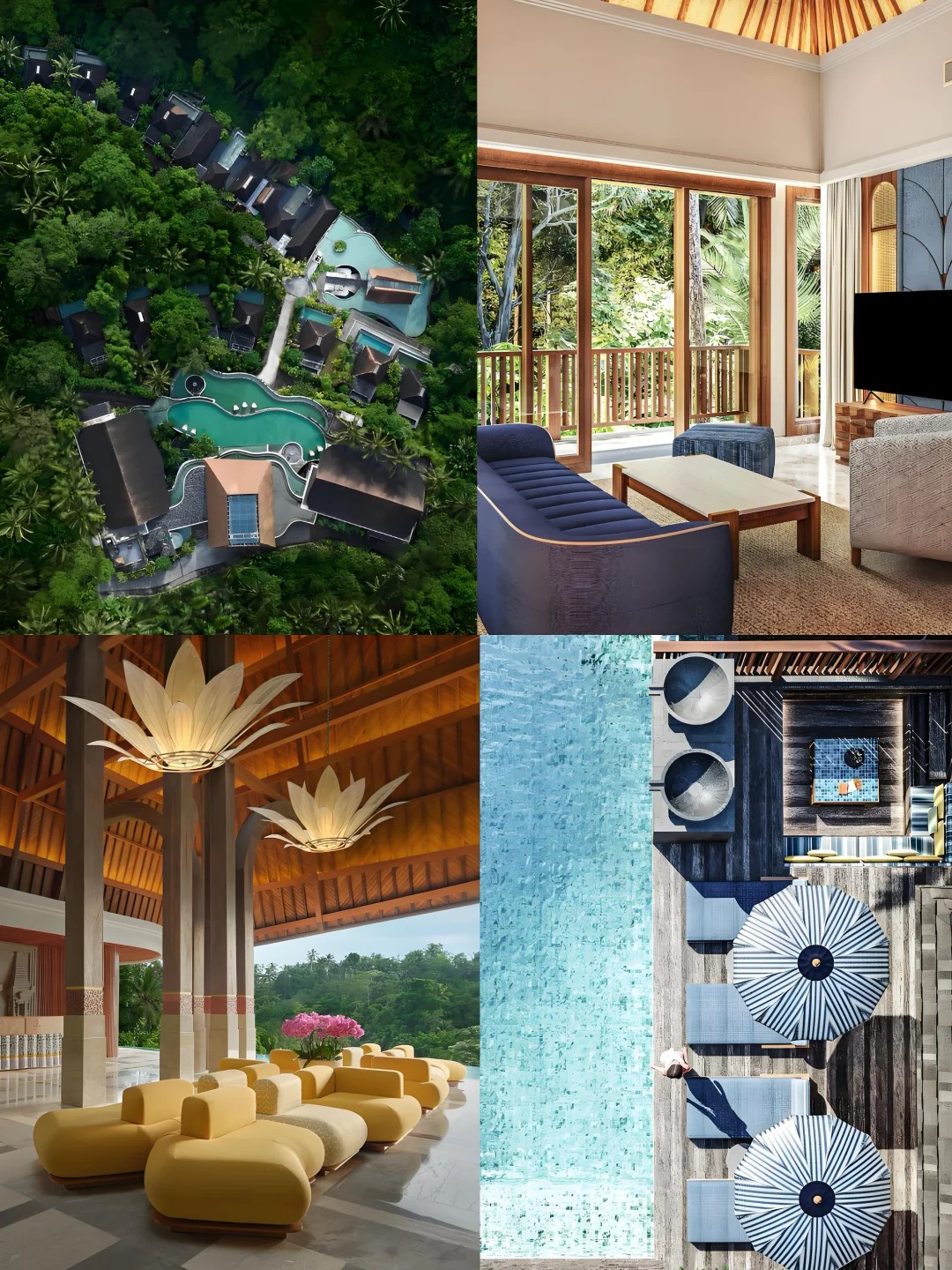 为了这片丛林秘境，飞了趟巴厘岛✈️