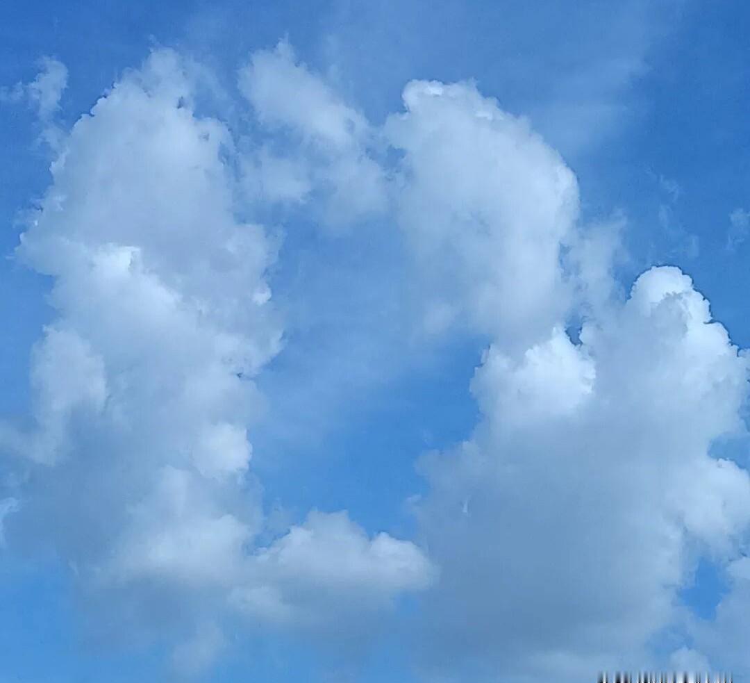 你能力不差，升不上去，不是因为不够拼，是太会“自己干”。
开会总爱纠正领导？
别