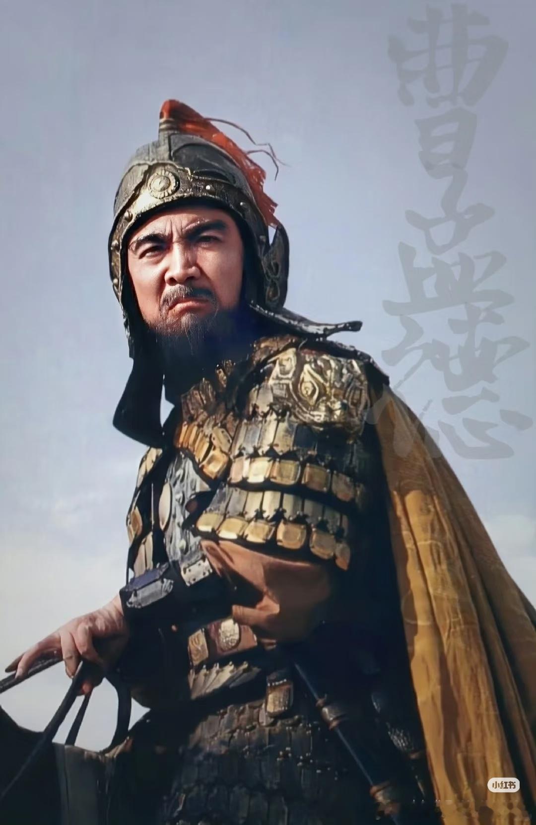焦晃老师的康熙陈宝国的汉武帝马跃的唐太宗唐国强的雍正王学圻的朱棣（私心加上鲍国安