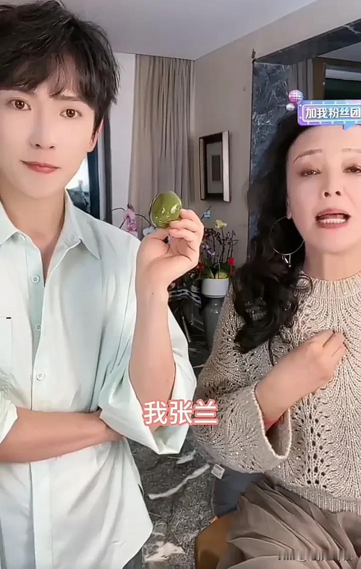 感觉张兰在虚张声势，要想证明儿子没有家暴，要么拿起法律武器坚决回击，证明对方说谎