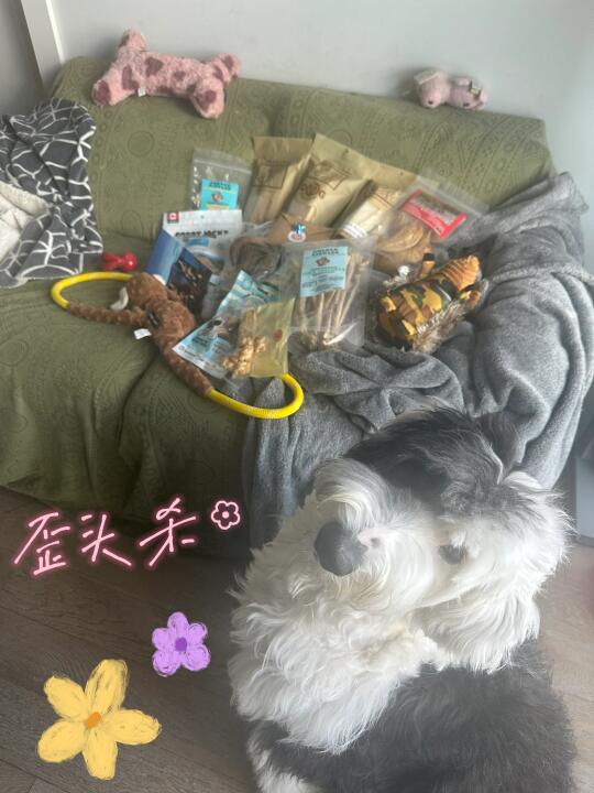 春季宠物展会还没到呢就已经收获满满！