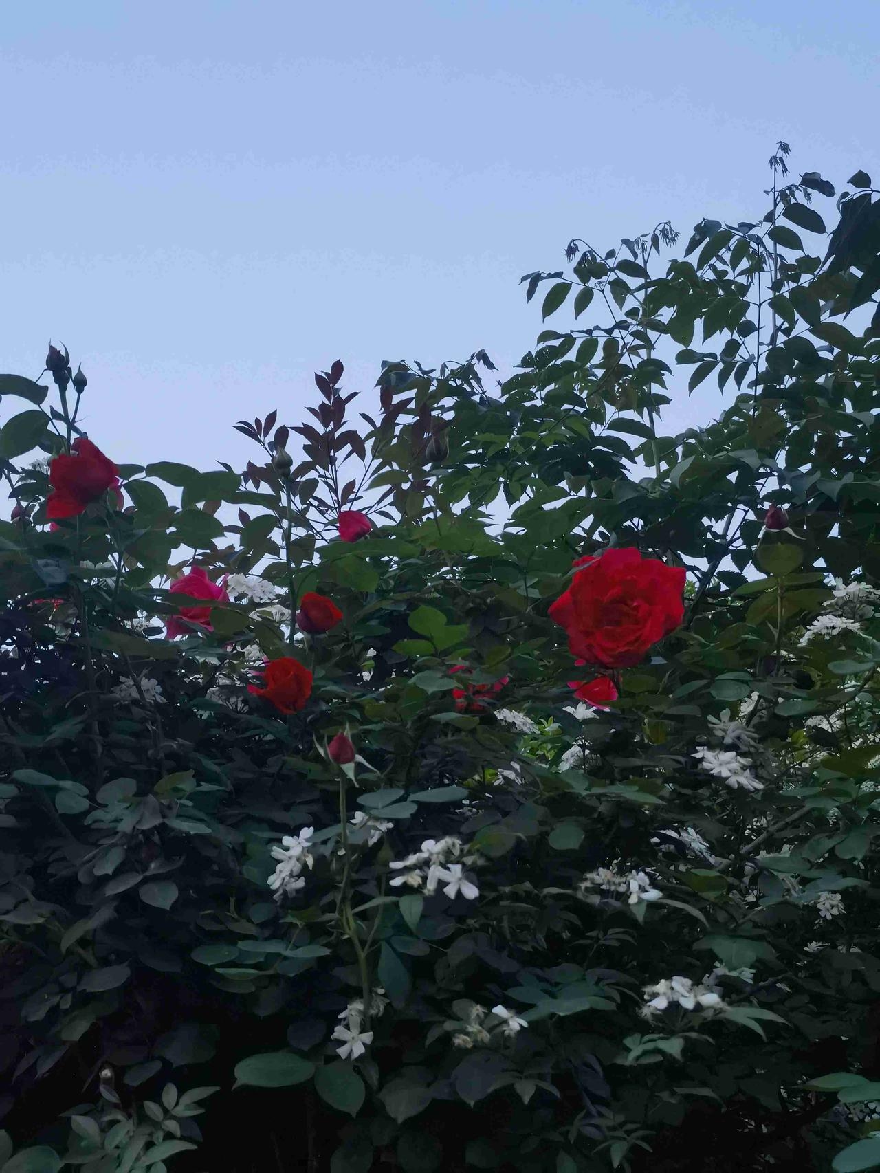 我的今日状态：😁轻松愉快
我这里的天气：☀️晴天