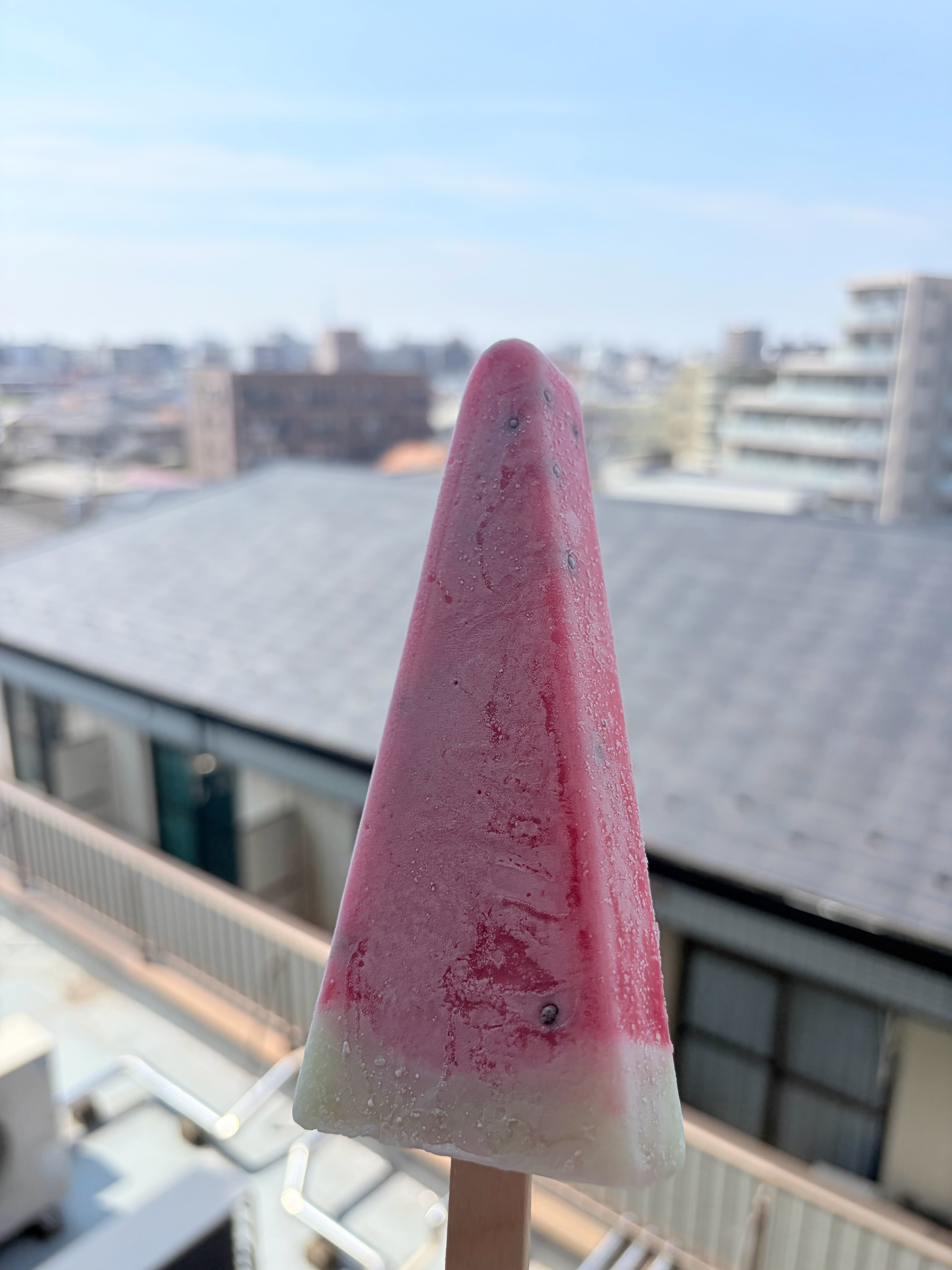 好热啊🫠🫠赶紧回家打开空调买雪糕降暑🍉 