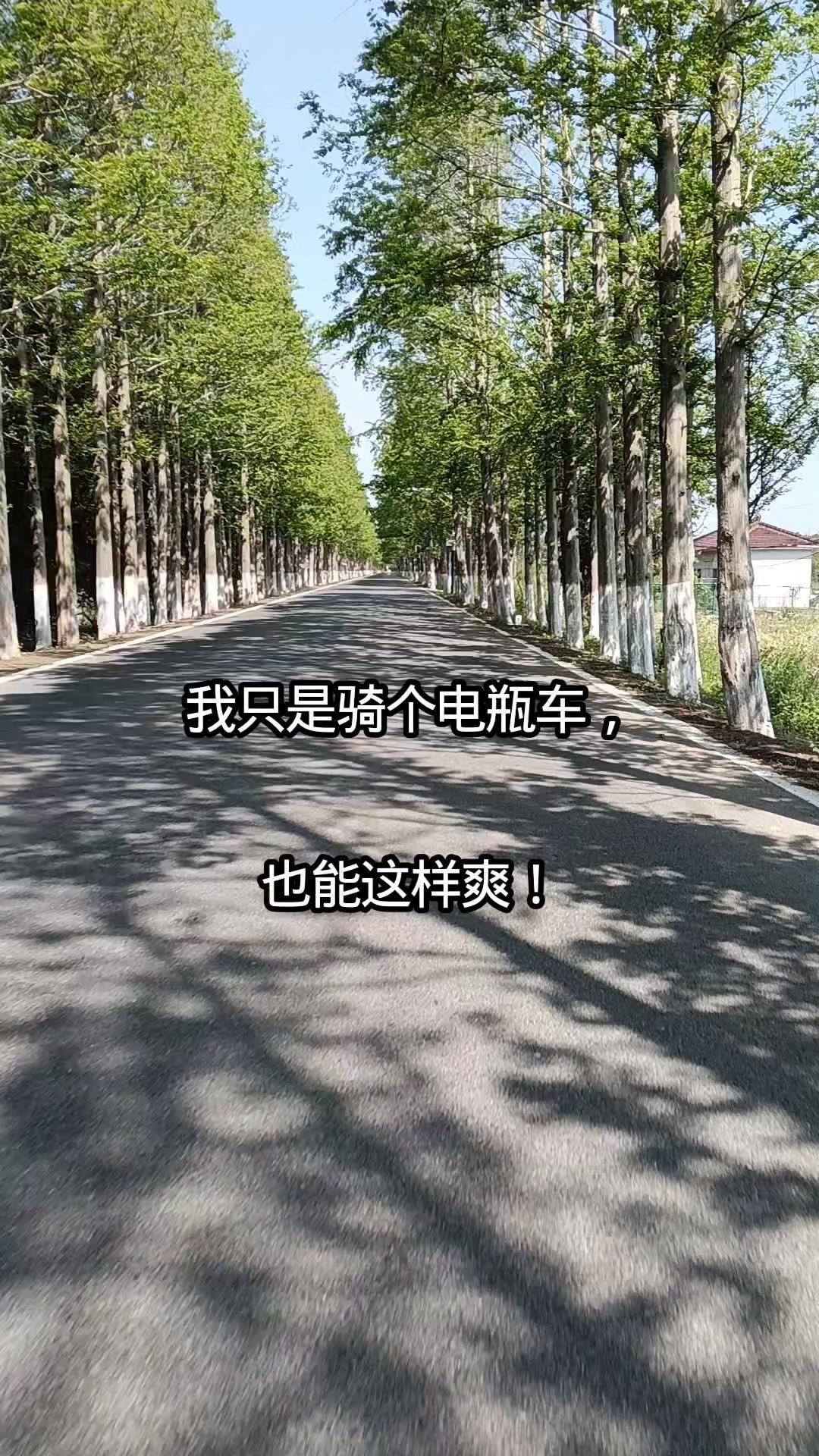 🌿在繁华都市里，偶然发现一条被花草环抱的林荫小路，骑着摩托穿行其间，感觉心灵都