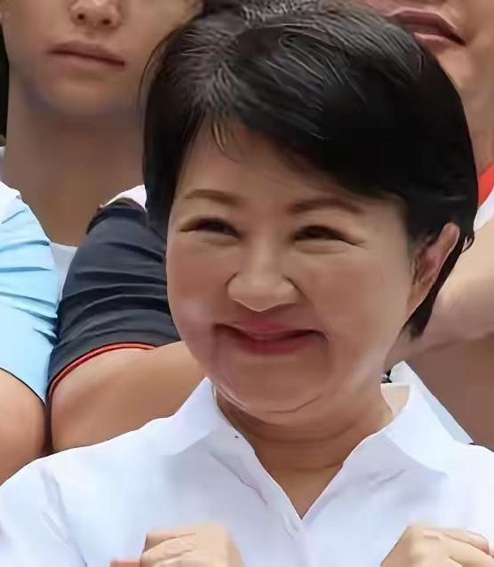 娃娃脸的卢秀燕，可以说算得上国民党的代表人物之一，也算是某一国民党派系代表人物之