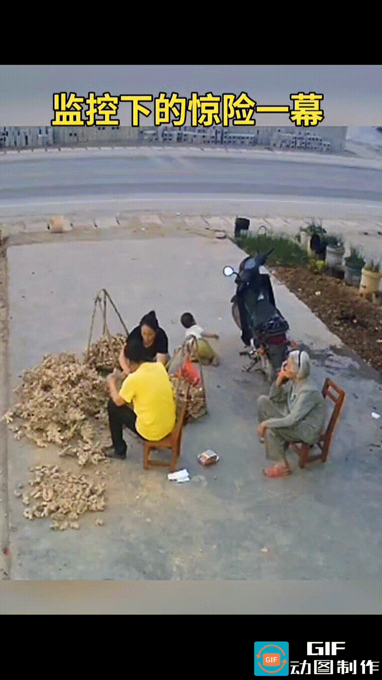 监控下令人惊悚的一幕，两个大人坐在场地上挑选生姜，老人坐在一旁接听电话，刚刚会走