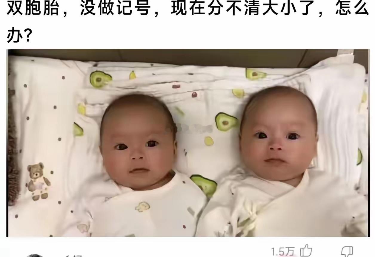 双胞胎没做标记，现在分不清大小了怎么办