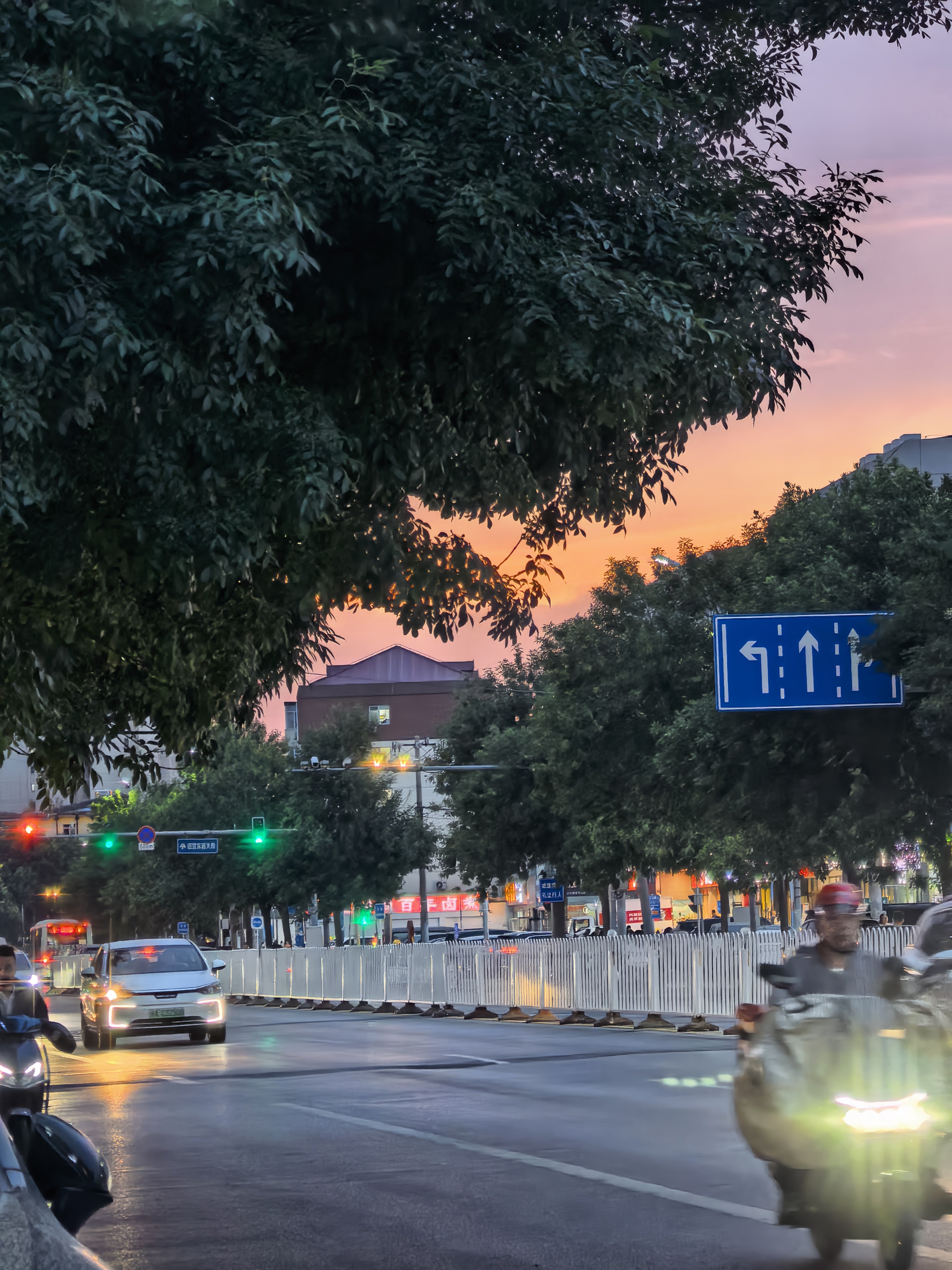 今天夕阳好美！被树挡的太严实了