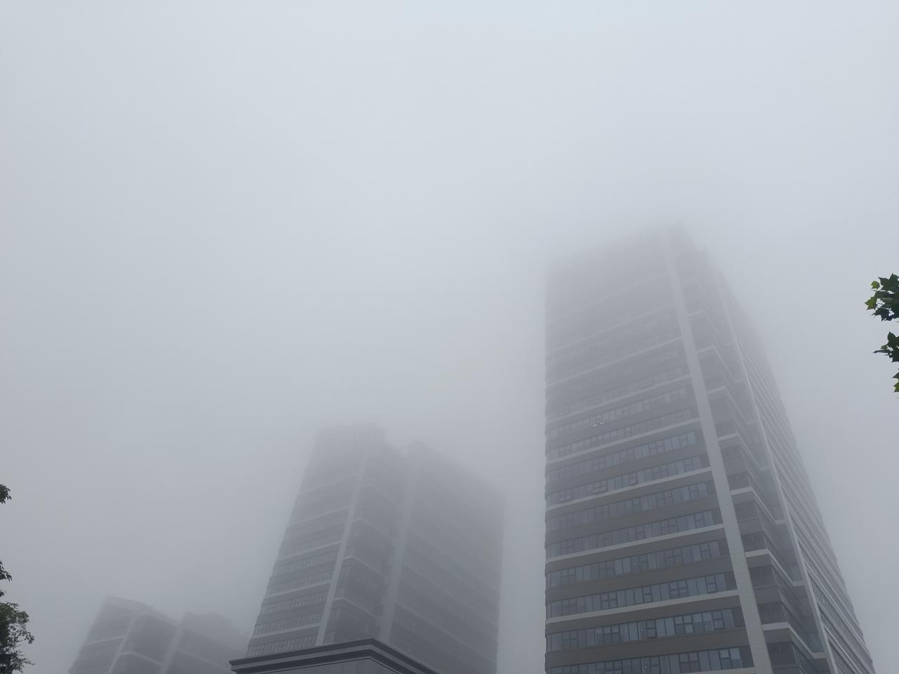 坐标济南，今日大雾，伴有毛雨。

昨日中元节，一路都能闻到烧纸的味。

这一年，