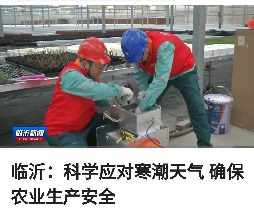 记录我的2024我的2024，不是采访，就是在采访路上。脚下有泥，心中有光。尽管