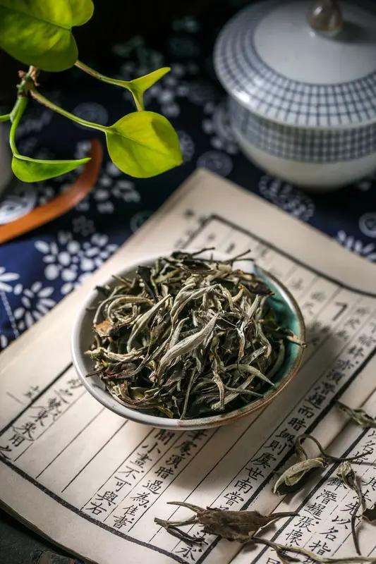 之前存了三年的白牡丹，最近拆饼发现条索捏着软乎乎有韧性，不像刚压饼时一捏就碎，差