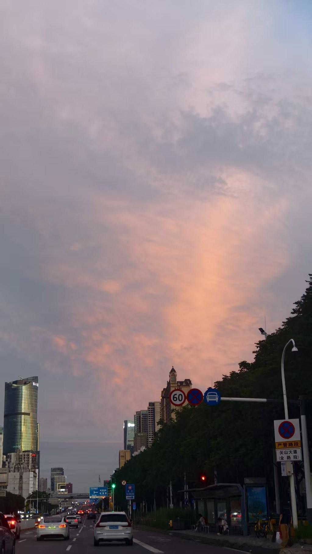 夏日生活打卡季今天是小暑，昨天傍晚武汉大雨，今天上午雨停了，气温又回升了一些。