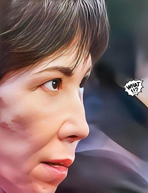 消息刚出，估计不少日本政客今晚睡不着觉了。据日本媒体曝料，最大的在野党立宪民主党