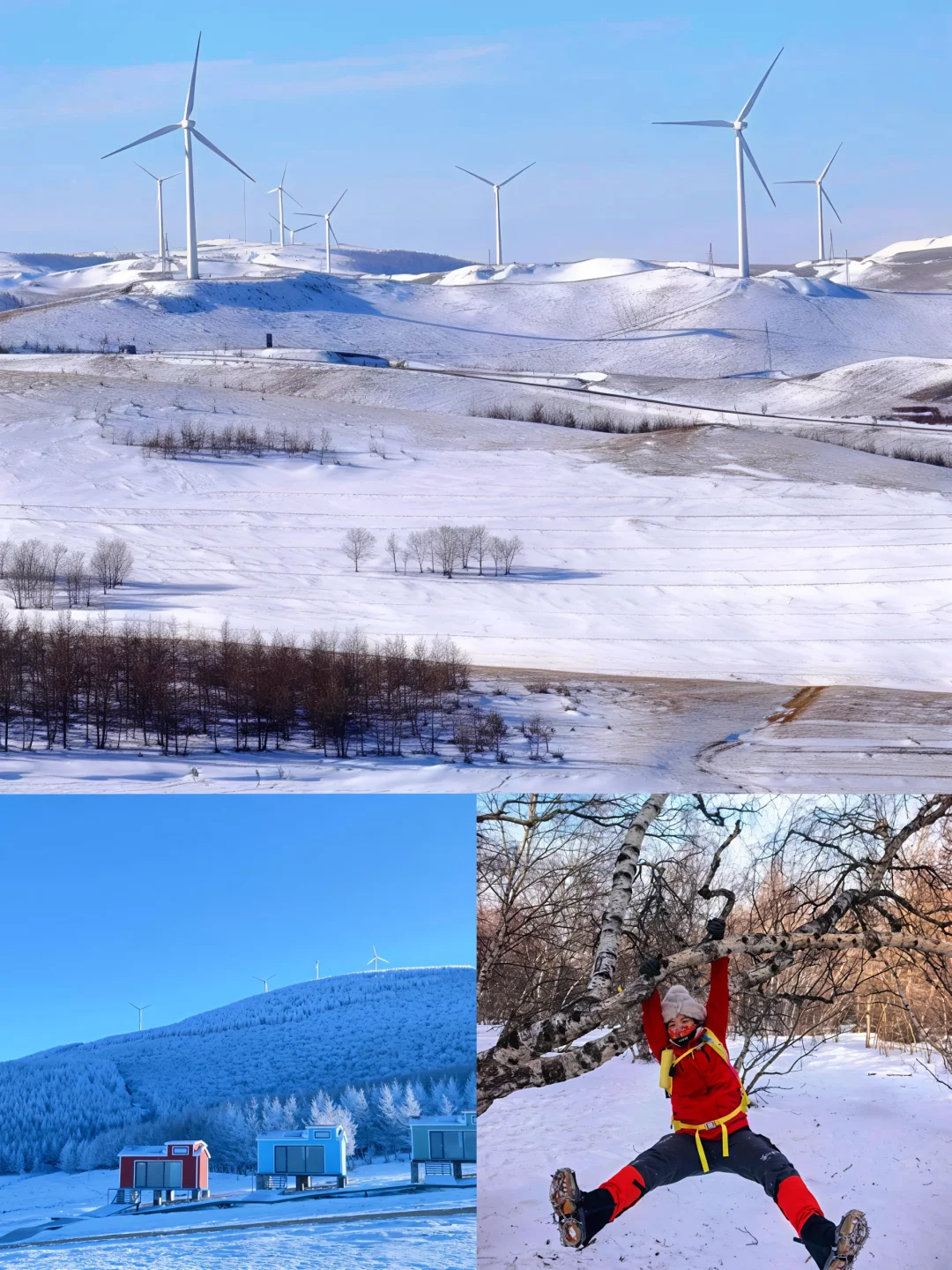 ❄️冬日限定治愈系美景