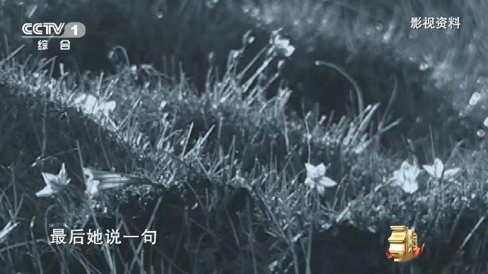 红军沉入沼泽前最后一句话听哭 红军吃皮带充饥笑称是牛肉 松潘草地见证了长征路上无