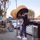 豆鸽逛逛科技