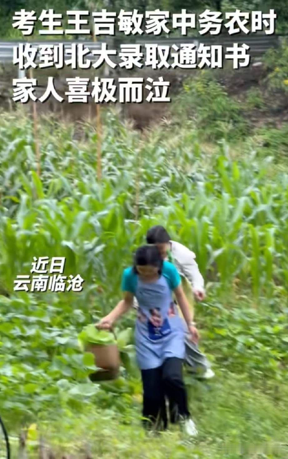 收到北京大学的录取通知书，真的能让家里人喜极而泣
 中国是非常重视教育的国家，不