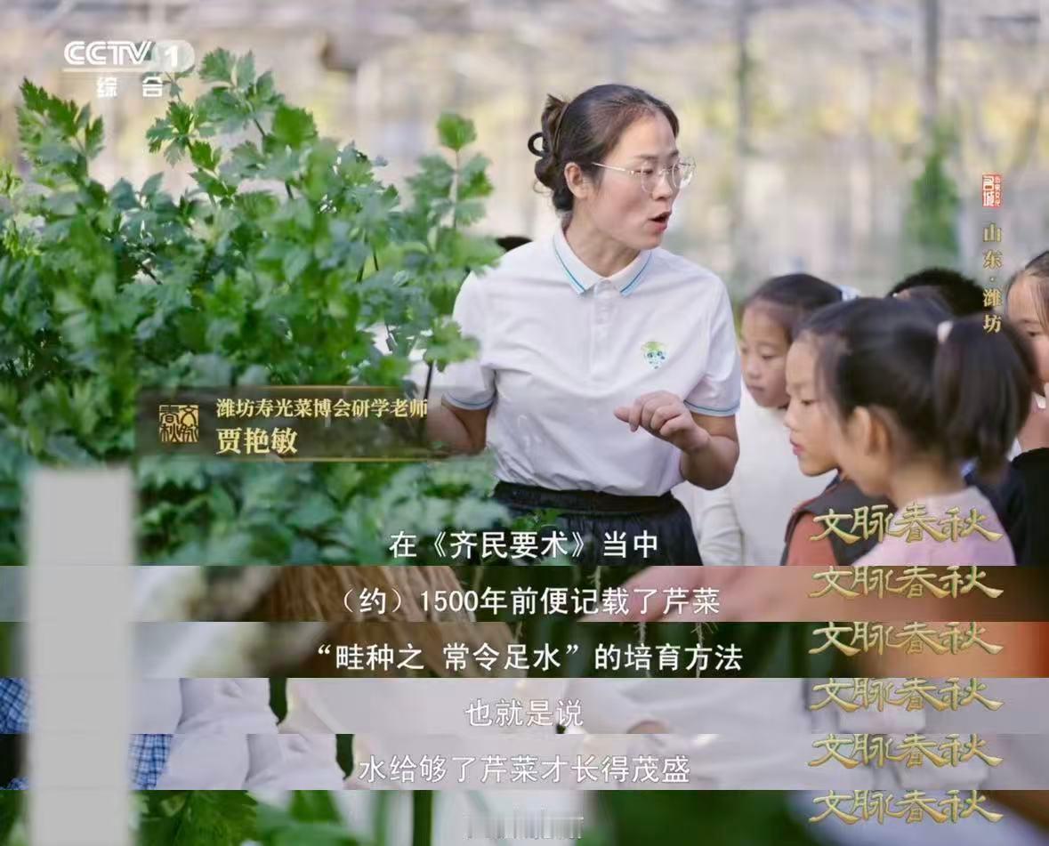 山东人种菜1500年前就很顶了 山东人种菜天赋，原来1500年前就被写进“神仙农