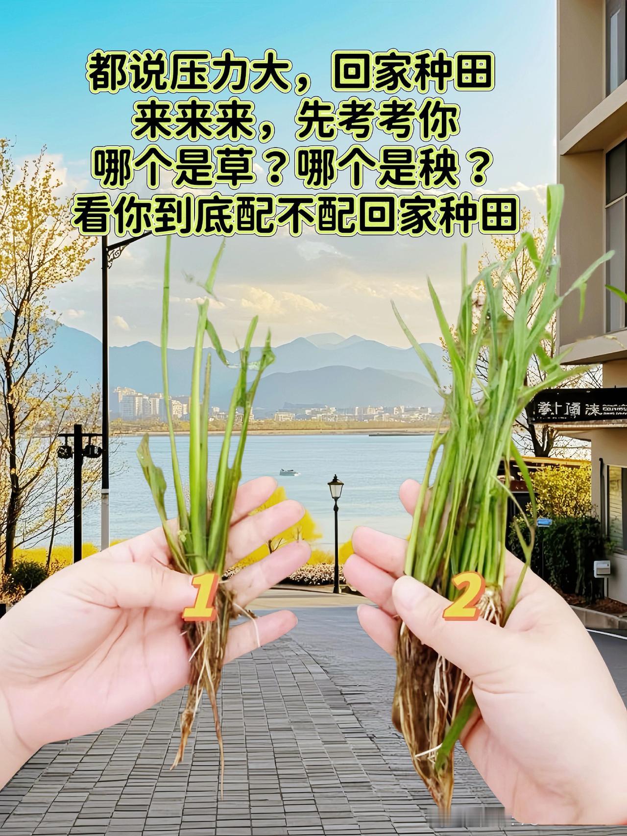 上热门正能量 原创 记录生活 原创作品