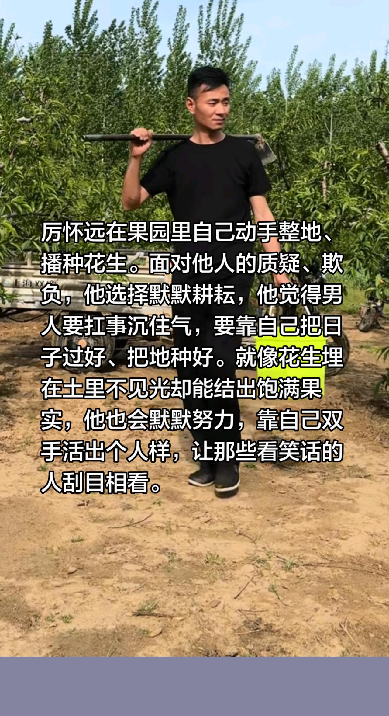 厉怀远就像花生，埋在地里也能长出果实！厉怀远在果园里自己动手整地、播种花生。面对