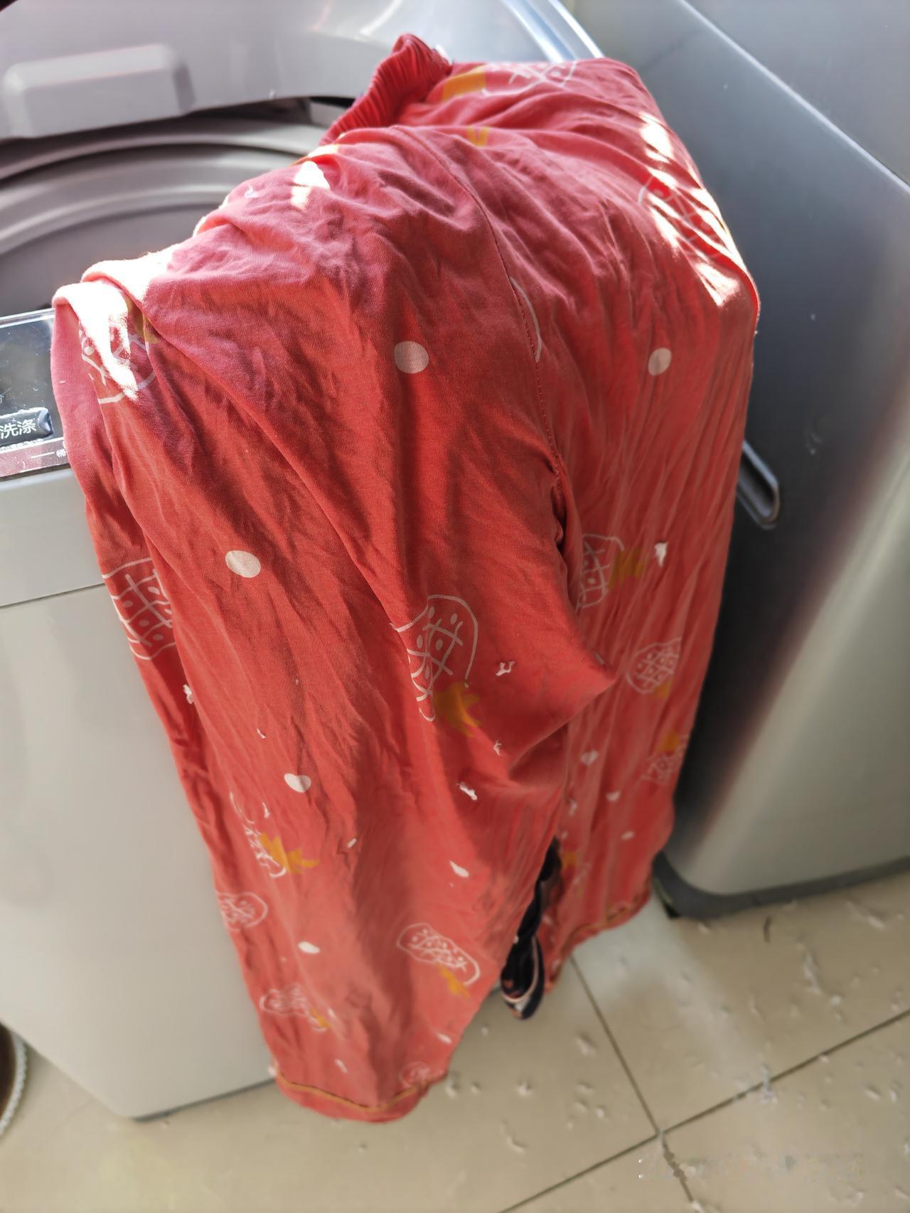 打开洗衣机盖子的一瞬间，我傻眼了，映入眼帘的是白色的碎纸屑，真想打自己一个耳刮子