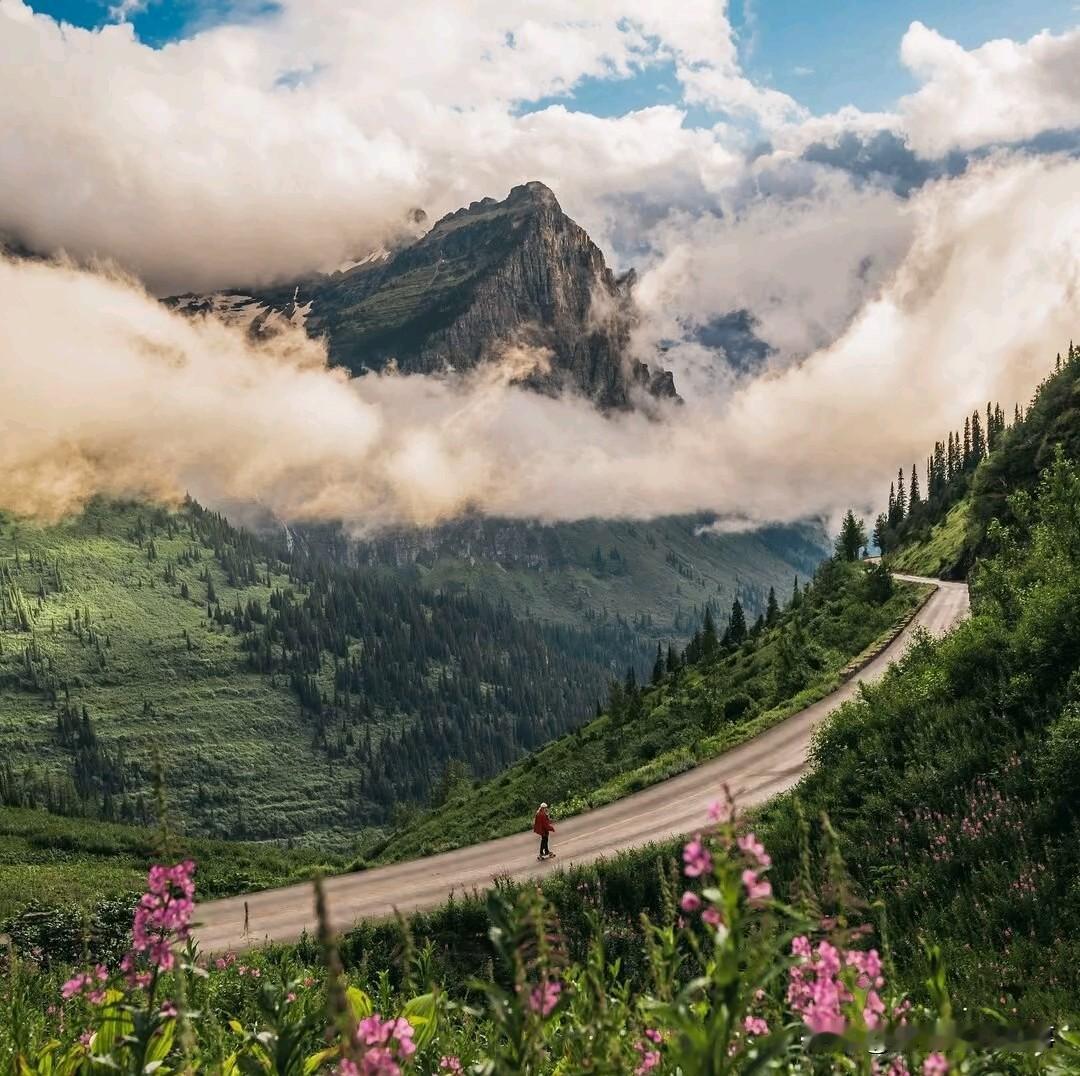 求实话，你有写过苗京京吗？是褒扬还是贬低呢？

于我来说，我是才开始写苗京京的，