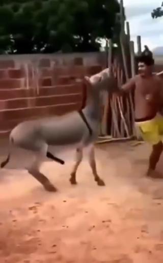 这波操作都看傻了。