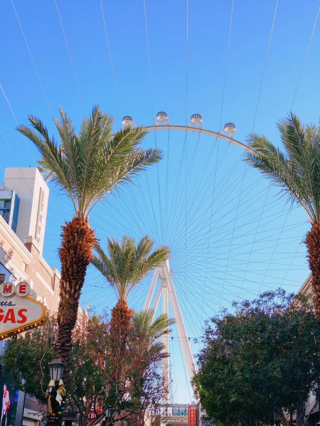 人在拉斯维加斯看到教人骑自行车不到一年赚了28万 要是我在这边教老美打掼蛋。。。