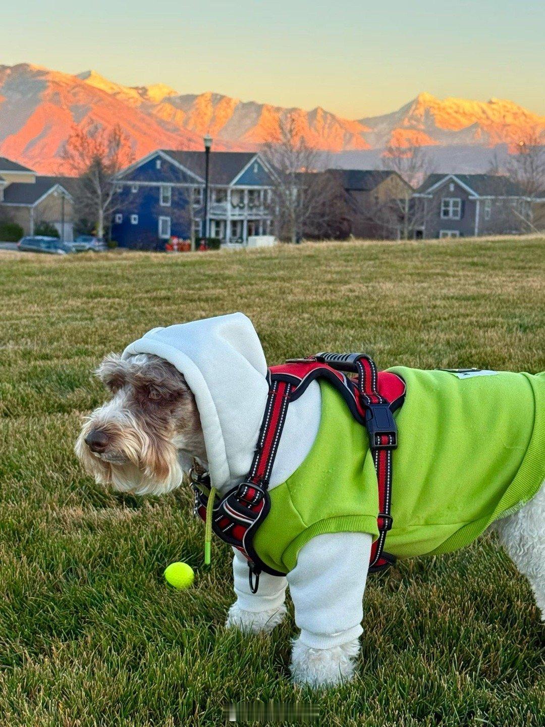 吉哥的快乐生活 乖妈摄影 