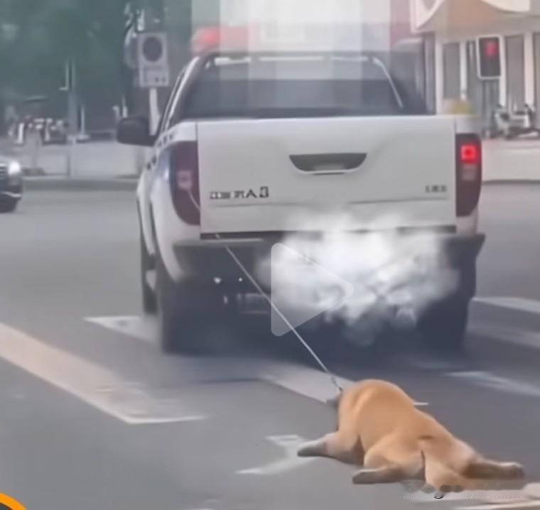 这是人能办出来的事吗？[发怒]