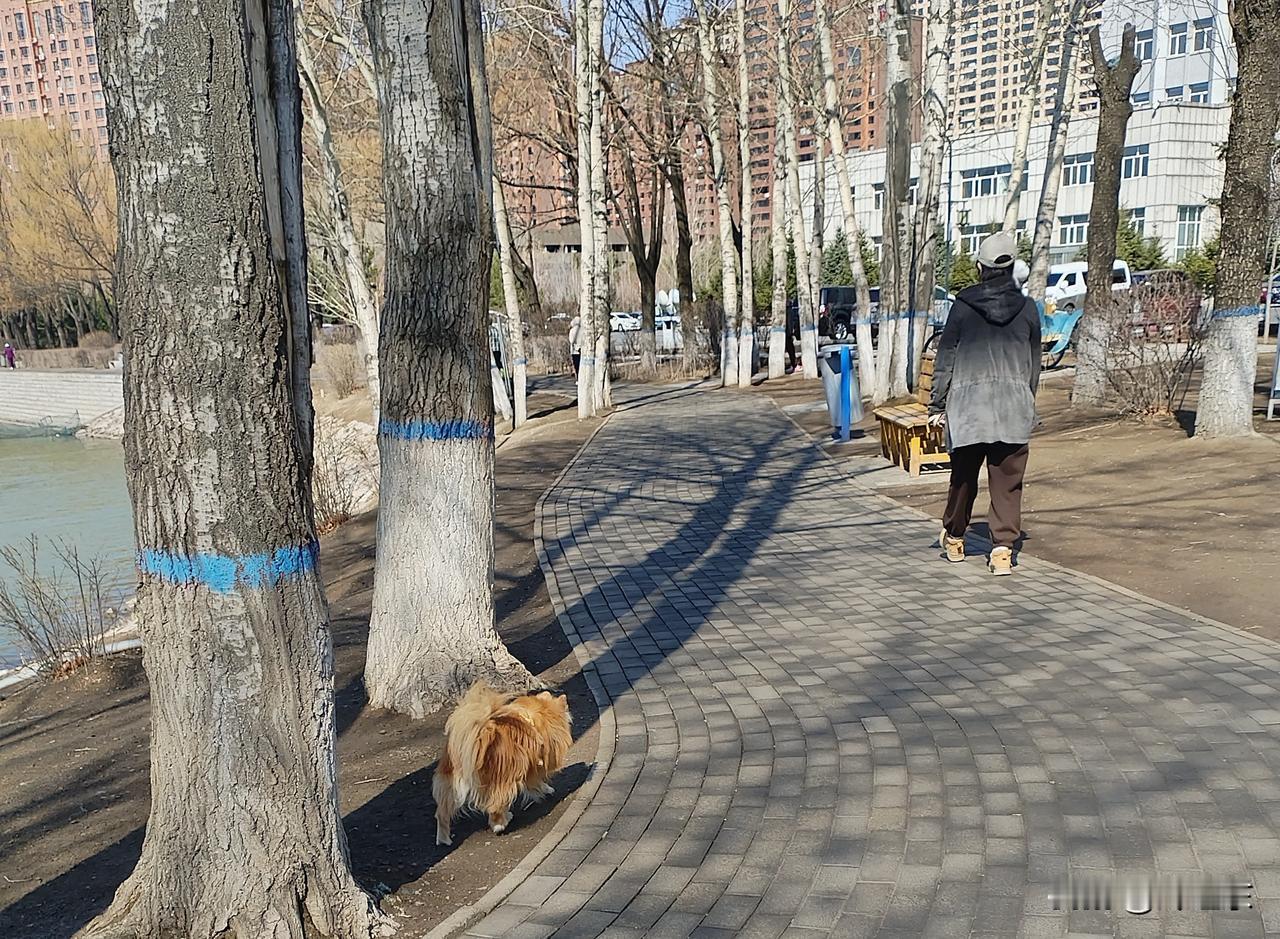 这里是黑龙江省肇东市南湖公园的长堤。
湖面上，风吹波涌，沙鸥盘旋。长堤上，闲人如