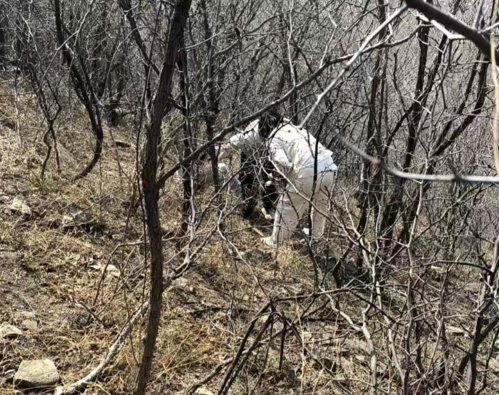 3月21日中午，南山公安分局仲宫派出所接群众报警称，一家四口在三媳妇山区域迷路被